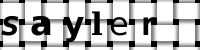 CAPTCHA image
